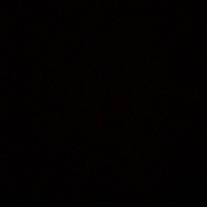 Meet your Posher, Dorian